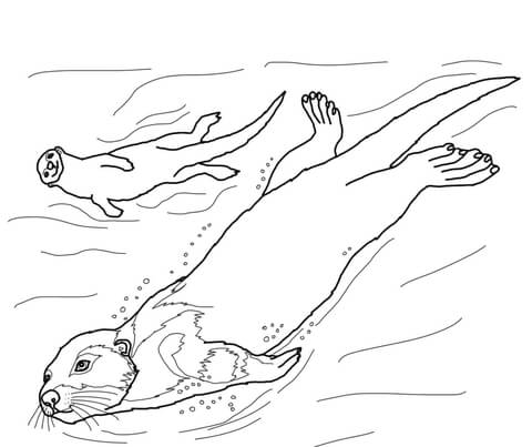 Sea Otter Coloring Page